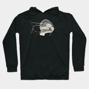 Skull / Swiss Artwork Photography Hoodie